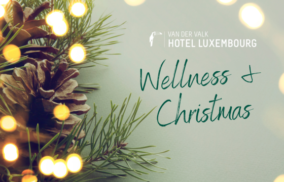 Wellness and XMAS package